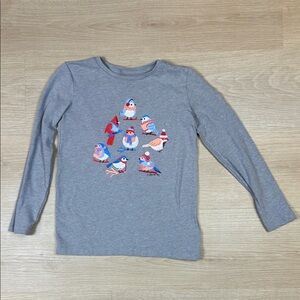 Crewcuts Gray Long Sleeve Tee Colorful Winter Bird Print Design S 6/7